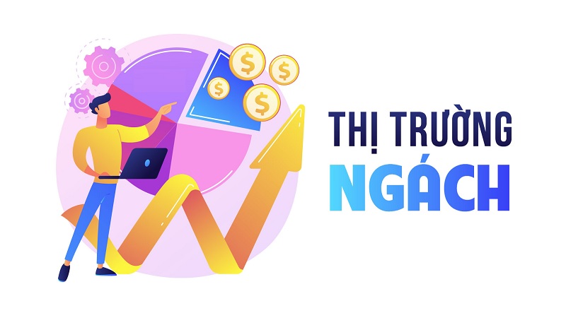 Chiến lược tập trung vào thị trường ngách
